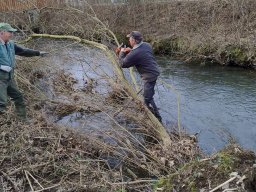 whatsapp image 2025-10-19 at 14.51.00